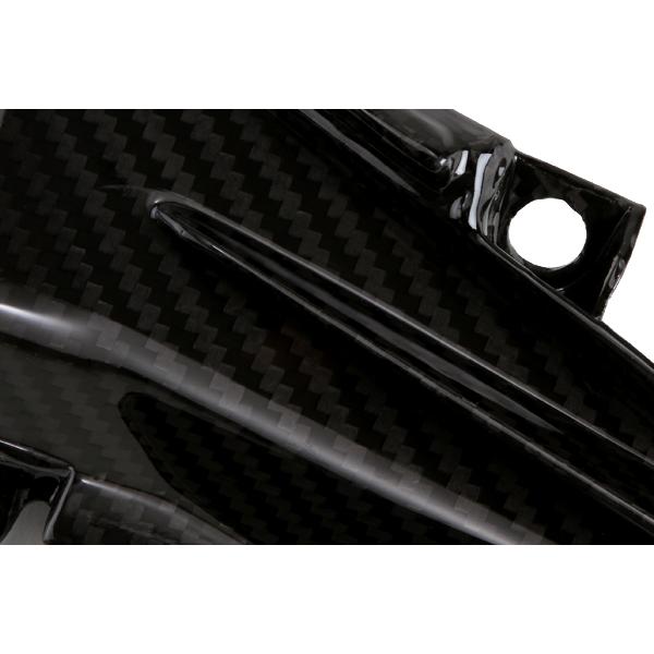TEASER SPK02G SIDE PANEL [DRY CARBON HG] Kawasaki Z1000 (14