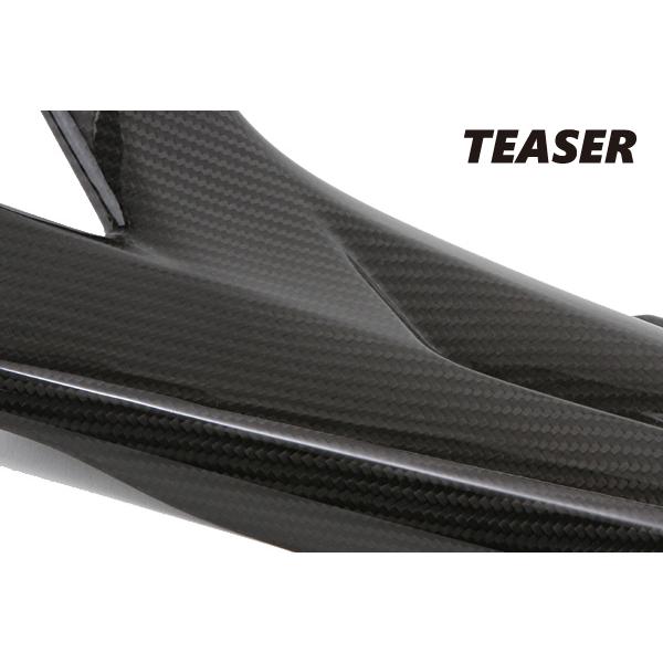 TEASER SPS03G SIDE PANEL [DRY CARBON HG] SUZUKI GSR600 GSR400