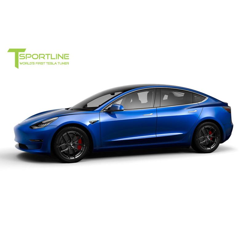 SV208510114SG T Sportline Tesla Model 3 軽 テスラ モデル 3 