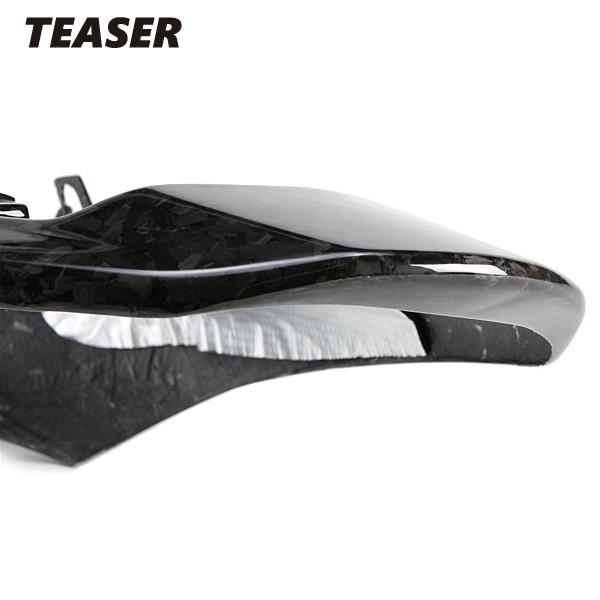TEASER ZTFS01 TAIL FAIRING (STREET) [DRY CARBON] FORGED CARBON