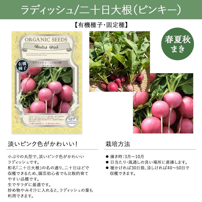 有機種子・固定種】根菜・豆類・もやしの種 グリーンフィールド