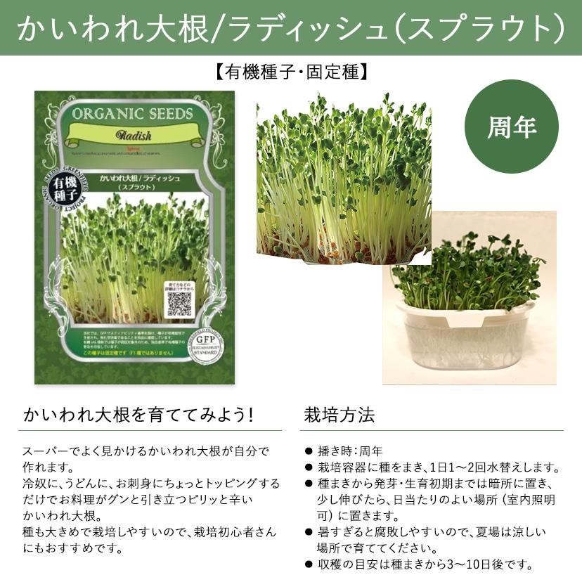 有機種子・固定種】香味、薬味野菜の種 グリーンフィールド