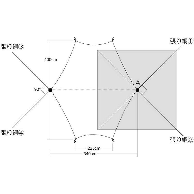 テンマクデザイン パンダ タープ TC パンダ タープ TC