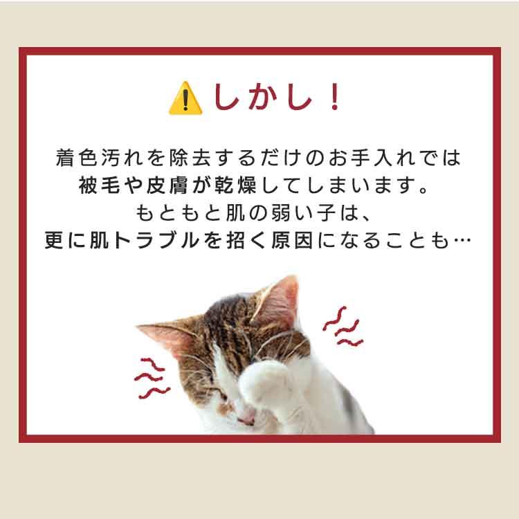 犬 猫 涙やけ クリーナー アトペット フコロジー ナミダケア 31mL 5%OFF 2個セット フコイダン アルカリ電解水 舐めても安心 目に入っても痛くない｜ramsmarks｜08