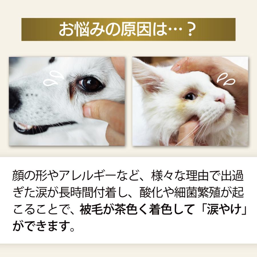 【極美品】犬と猫の救急救命手技 犬と猫の救急医療プラクティスvol.2 株式会社 緑書房