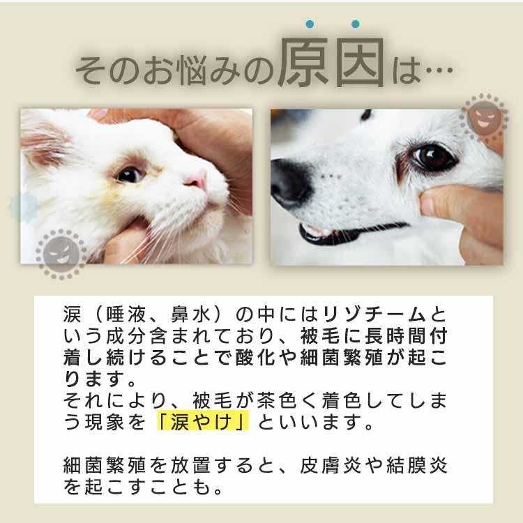 犬 猫 涙やけ クリーナー アトペット フコロジー ナミダケア 31mL フコイダン アルカリ電解水 舐めても安心 目に入っても痛くない｜ramsmarks｜07