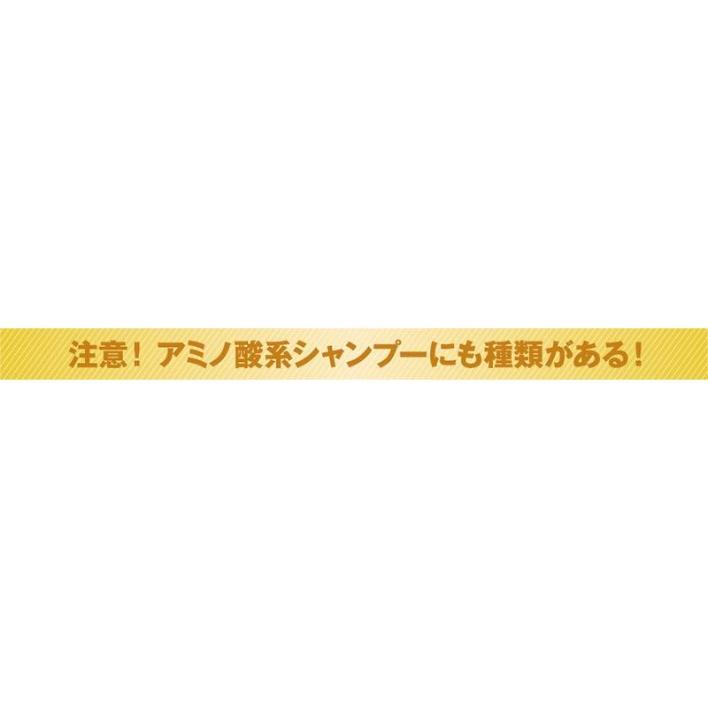 アミノ酸系シャンプー ノンシリコン NHE モイストリペアシャンプー 1000mL 詰め替え 頭皮 ふけ 抜け毛 薄毛 低刺激 くせ毛 送料無料 | NHE | 12
