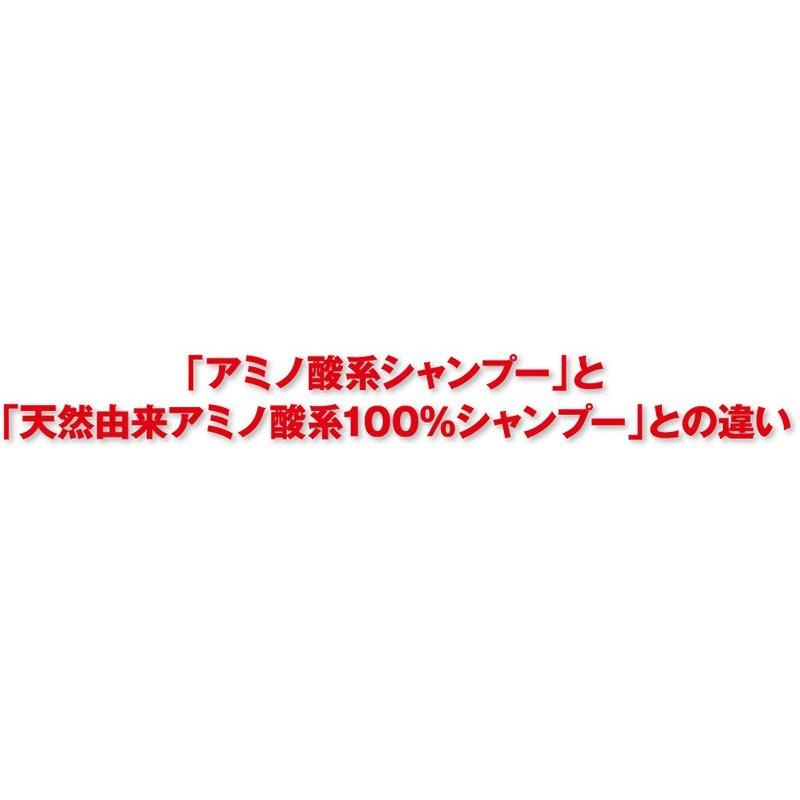 アミノ酸系シャンプー ノンシリコン NHE モイストリペアシャンプー 1000mL 詰め替え 頭皮 ふけ 抜け毛 薄毛 低刺激 くせ毛 送料無料 | NHE | 13