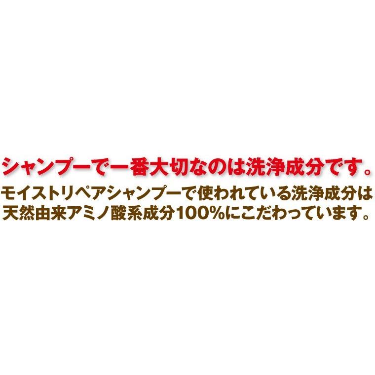アミノ酸系シャンプー ノンシリコン NHE モイストリペアシャンプー 1000mL 詰め替え 頭皮 ふけ 抜け毛 薄毛 低刺激 くせ毛 送料無料 | NHE | 05