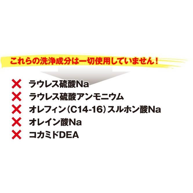 アミノ酸系シャンプー ノンシリコン NHE モイストリペアシャンプー 1000mL 詰め替え 頭皮 ふけ 抜け毛 薄毛 低刺激 くせ毛 送料無料 | NHE | 06