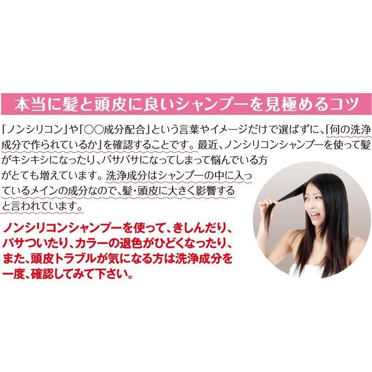 アミノ酸系シャンプー ノンシリコン NHE モイストリペアシャンプー 1000mL 詰め替え 頭皮 ふけ 抜け毛 薄毛 低刺激 くせ毛 送料無料 | NHE | 08