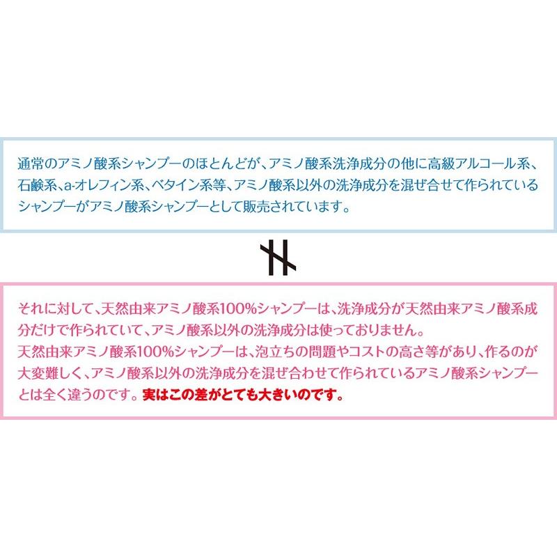 NHE アミノ酸系シャンプー ノンシリコン NHEモイストリペアシャンプー
