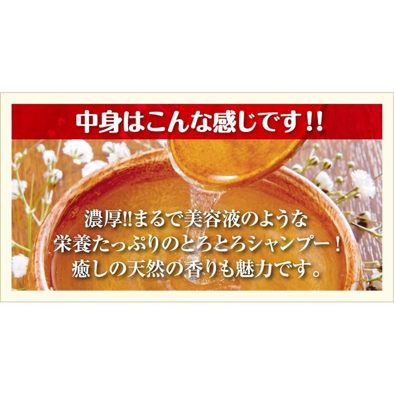 Amazon | NHE モイストリペアシャンプー 500ml | NHE