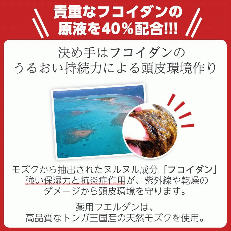 フコイダン配合 薬用フエルダン 頭皮 乾燥肌用 育毛剤 薄毛 脱毛予防 病後 産後の抜け毛予防 髪のボリュームアップ 売れ筋がひ贈り物