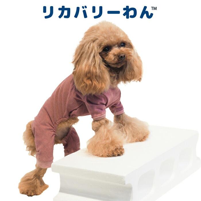 リカバリーわん（テラヘルツワン）背中開きパジャマ (3色)ペット介護