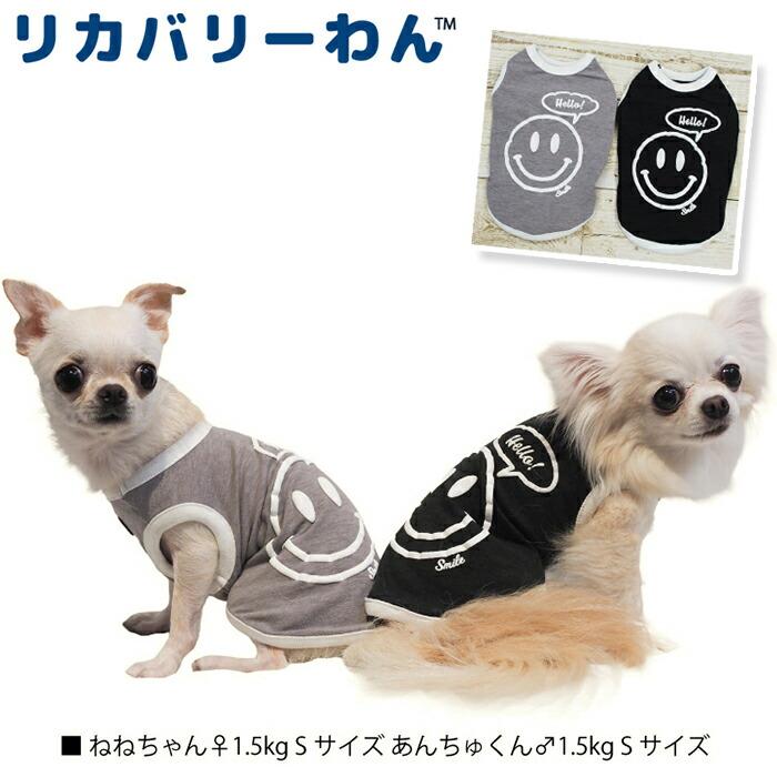 テラヘルツワン・ニコタンク 犬用小型犬 フレブル シニア犬 犬服