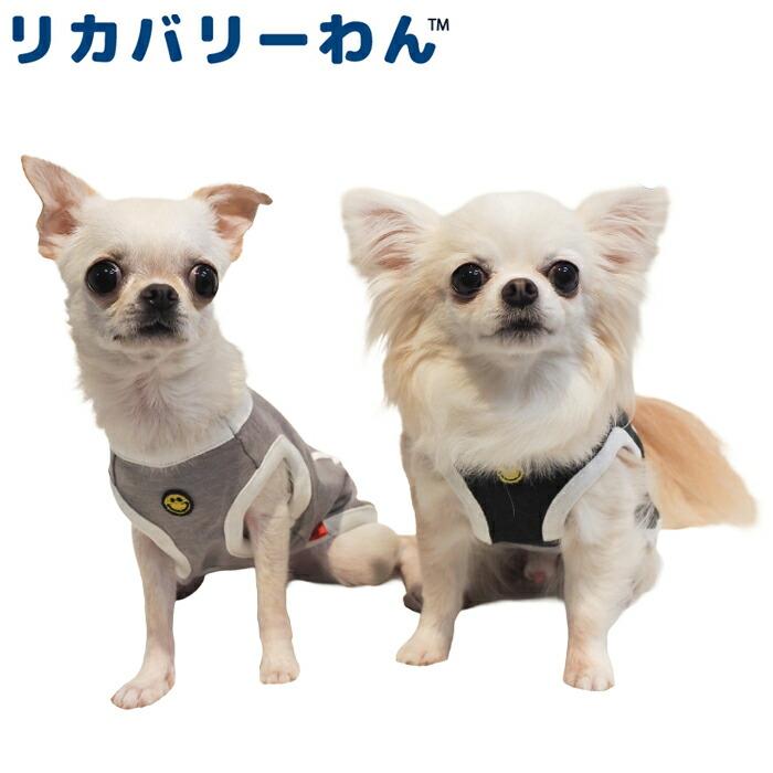 テラヘルツワン・ニコタンク 犬用小型犬 フレブル シニア犬 犬服