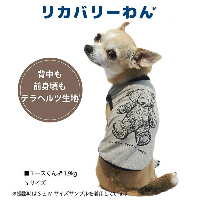 リカバリーわん（旧テラヘルツワン）ヴィンテージベア 犬用小型犬