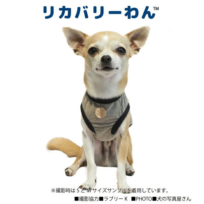 ヴィンテージベア　四つ足の犬　ワンコ リカバリーわん（旧テラヘルツワン）ヴィンテージベア 犬用小型犬