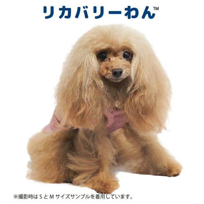 リカバリーわん（旧テラヘルツワン）ヴィンテージベア 犬用小型犬