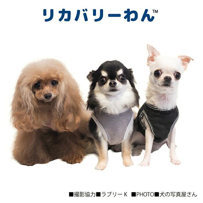 リカバリーわん（テラヘルツワン） 長袖Tシャツ (3色)ペット介護 犬用