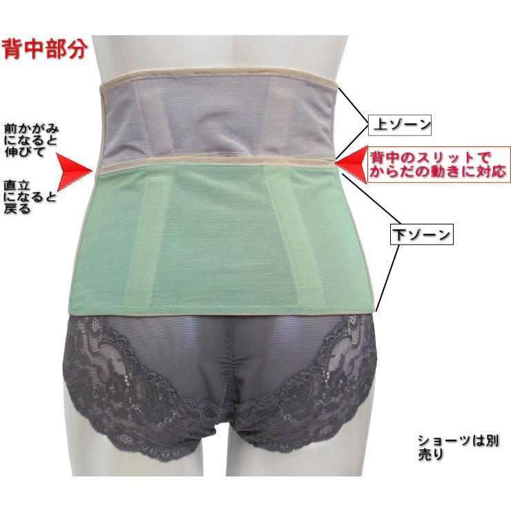 らくラクパートナー ワコール Wacoal らくらくパートナー 腰部保護