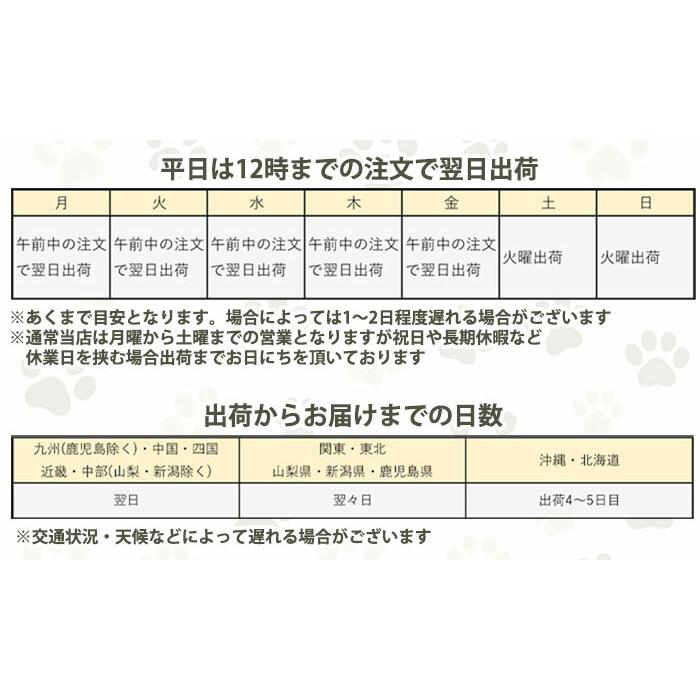 レビューで300円クーポン進呈》テラビューティー・ピローカバー 枕