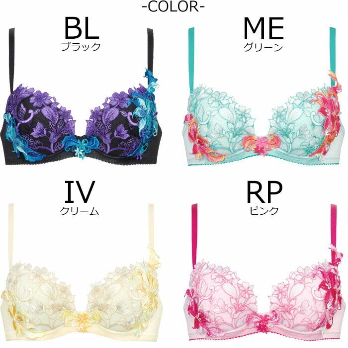 ふるさと納税 サルートF70ソングM ME 53 alamocirugiaplastica.com