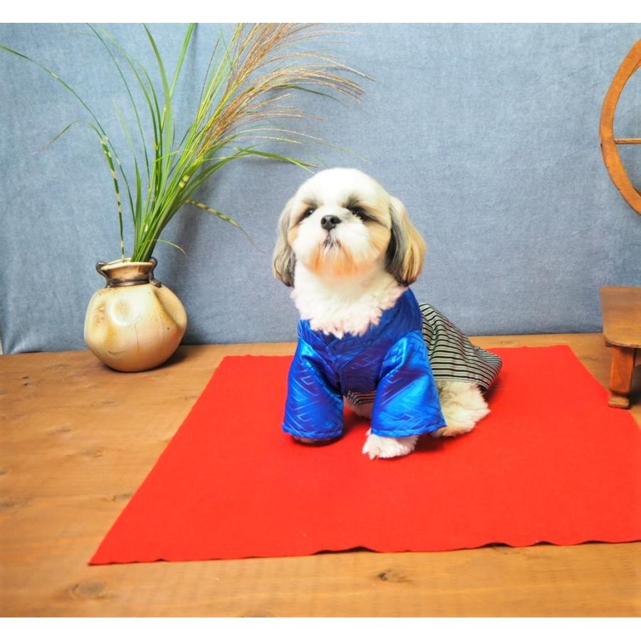 犬服 着物 子供の日 お祝い 七五三 晴れ着 袴 成人式 男の子 ranmarche