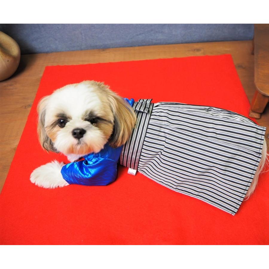 犬服 着物 子供の日 お祝い 七五三 晴れ着 袴 成人式 男の子 ranmarche
