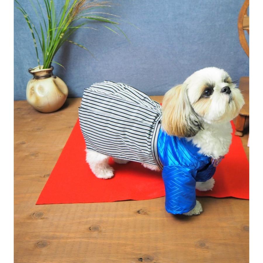 犬服 着物 子供の日 お祝い 七五三 晴れ着 袴 成人式 男の子 ranmarche