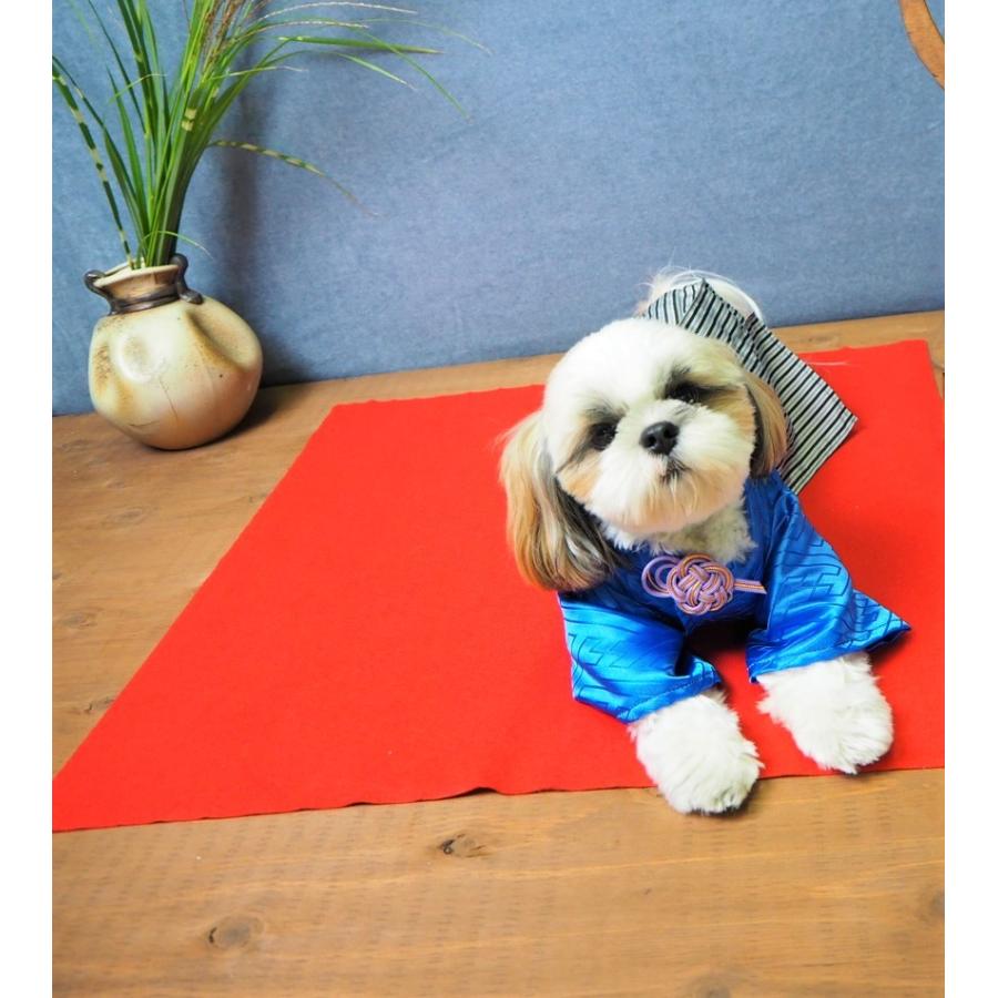 犬服 着物 子供の日 お祝い 七五三 晴れ着 袴 成人式 男の子 ranmarche