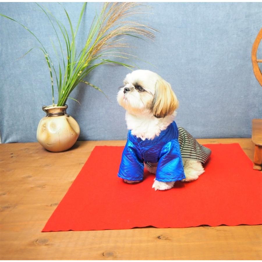 犬服 着物 子供の日 お祝い 七五三 晴れ着 袴 成人式 男の子 ranmarche