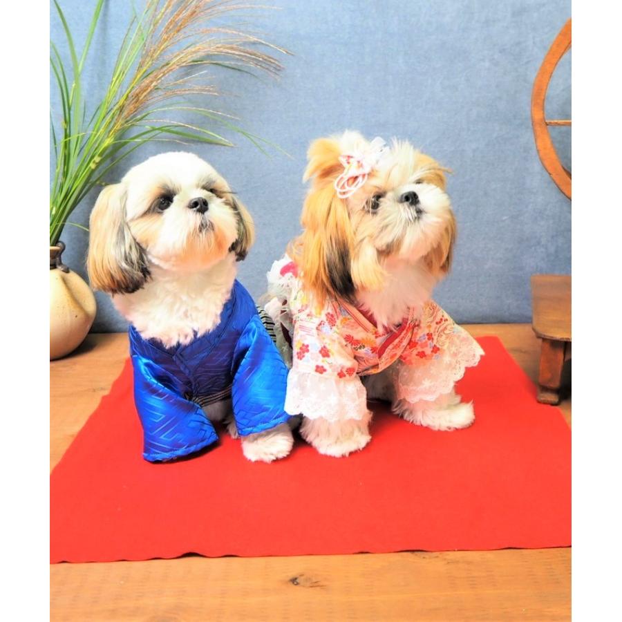 犬服 着物 子供の日 お祝い 七五三 晴れ着 袴 成人式 男の子 ranmarche