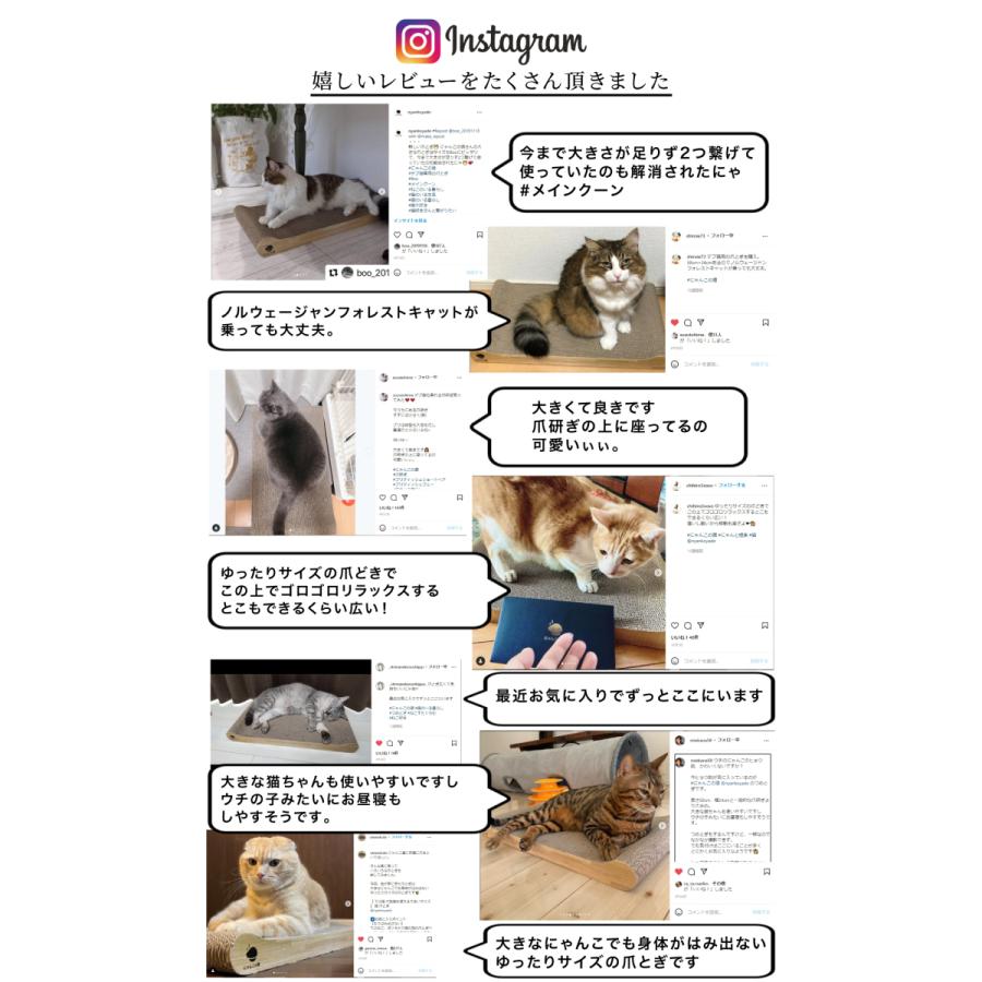 【とぎかすゼロ 1年使える高耐久】 猫 爪研ぎ ぽっちゃり猫OK 獣医師監修 p とぎかすゼロ 1年使える高耐久】 猫 爪研ぎ 大型猫でもはみ出さない 獣