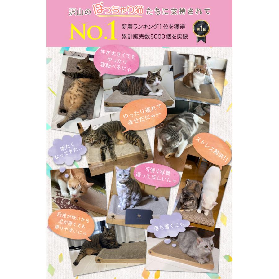 【とぎかすゼロ 1年使える高耐久】 猫 爪研ぎ ぽっちゃり猫OK 獣医師監修 p とぎかすゼロ 1年使える高耐久】 猫 爪研ぎ ぽっちゃり猫OK 獣医師監修