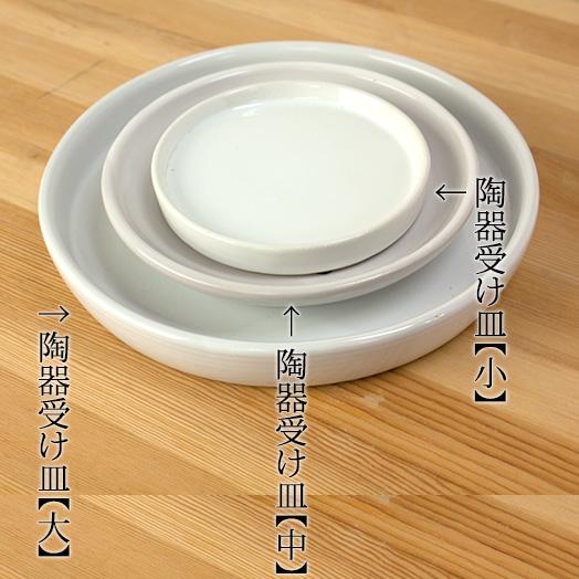 陶器 受け皿 大（直径21cm）』 ◇白陶器【植物と一緒に購入で送料無料