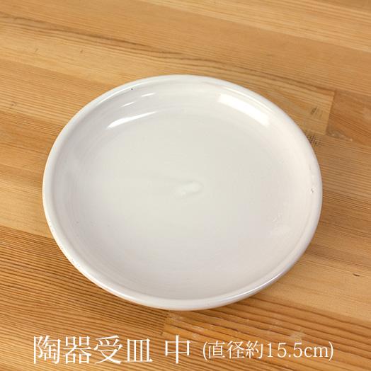 『陶器 受け皿 中（直径15.5cm）』 ◆白陶器 【植物と同時購入で送料無料！単品購入の場合送料700円加算】 [g-ukezaratm]（Yahoo!・胡蝶蘭専門農園 iファーマーらんぼ）