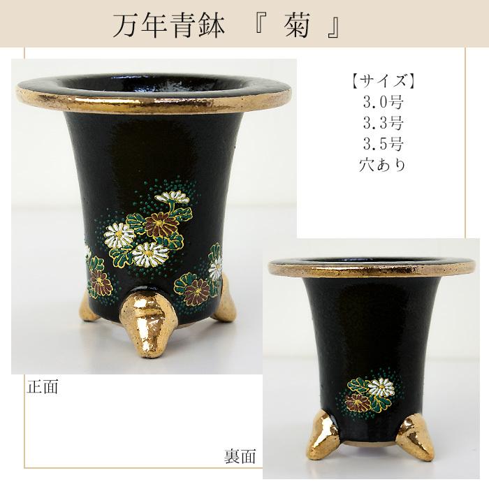 万年青鉢　蘭鉢　おもと　信楽焼　鉢　　まとめ売り　エコメルカリ便　在庫処分 万年青鉢 蘭鉢 おもと 信楽焼 鉢 13鉢 まとめ売り エコメルカリ