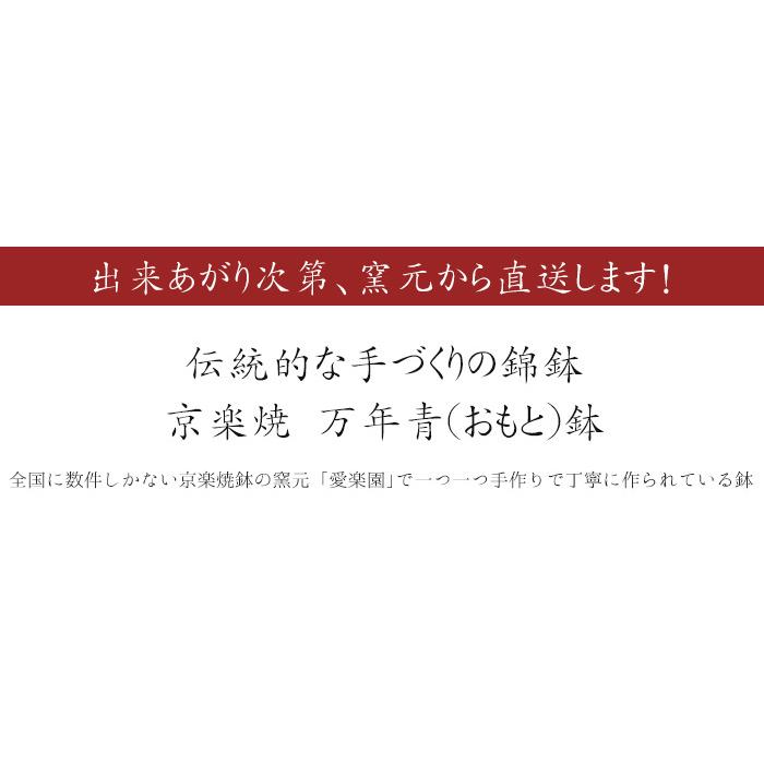 ◇京楽焼窯元「愛楽園」直送◇『万年青鉢(おもと鉢) 虎・新龍 ◇京楽焼窯元「愛楽園」直送◇『万年青鉢(おもと鉢) 虎・新龍