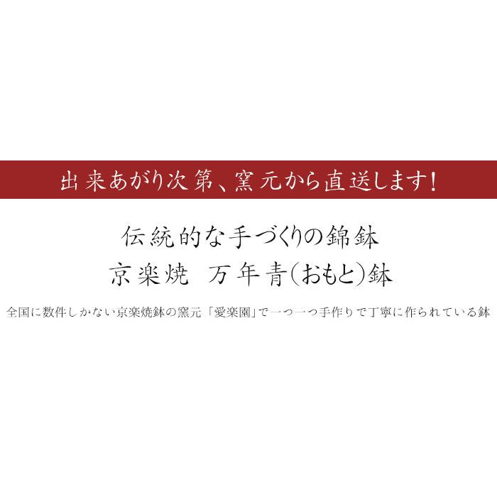 ◆京楽焼窯元「愛楽園」直送◆『万年青鉢（おもと鉢） 虎・新龍・鳳凰』 3.0号 3.3号 3.5号 錦鉢 [g-airaku-m04]｜ranbo｜02