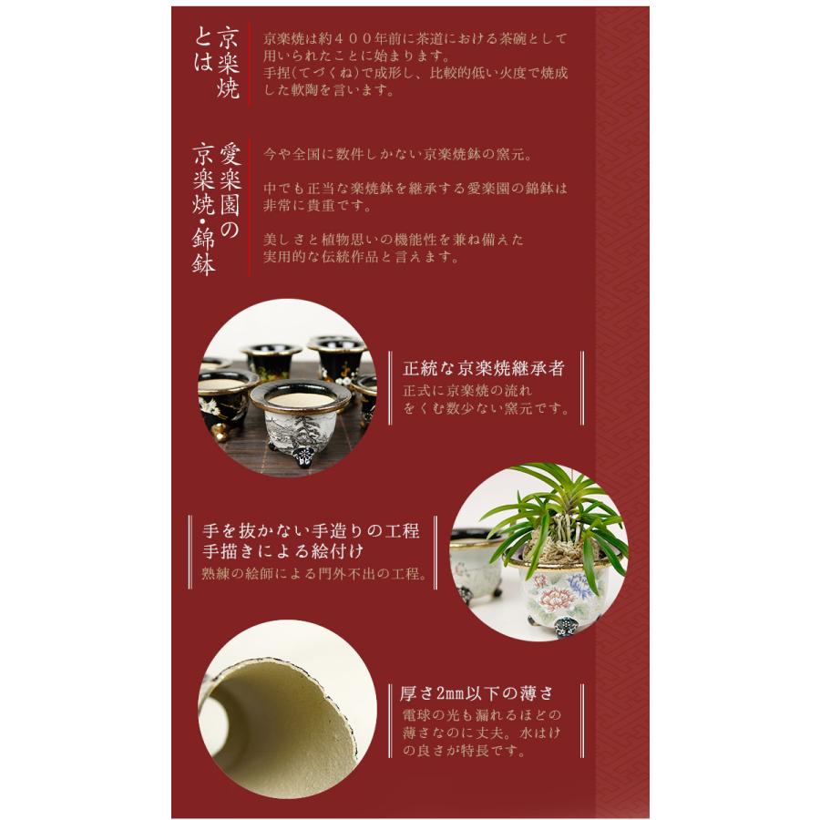 ◇京楽焼窯元「愛楽園」直送◇『富貴蘭鉢 波に鶴・鶴に朝日・上龍