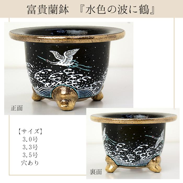 蘭鉢新品錦鉢愛楽園製