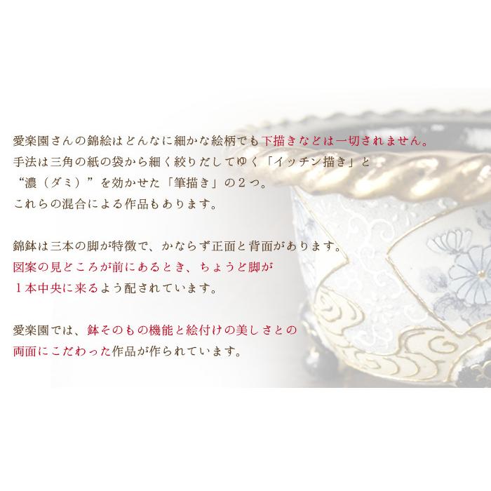 ◇京楽焼窯元「愛楽園」直送◇『万年青鉢（おもと鉢） 黒唐草』 3.0号