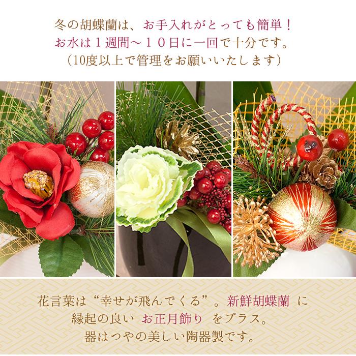 専用＊迎春2024 2色の胡蝶蘭グリーン   正月飾り(フェイク) 専用＊迎春2024 2色の胡蝶蘭グリーン 正月飾り(フェイク) 専用＊迎春