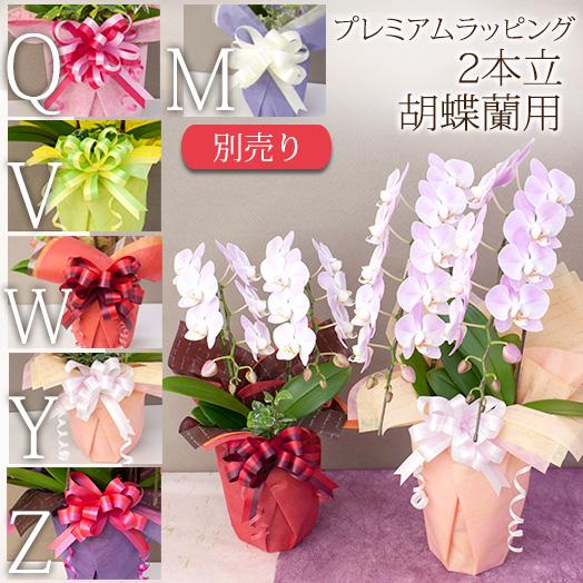 ラッピングのみ胡蝶蘭は付きません 有料ラッピング 2本立胡蝶蘭専用 物日商品除く 単品購入不可 プレミアムラッピング R 2fivrp R 2frp 胡蝶蘭専門農園 Iファーマーらんぼ 通販 Yahoo ショッピング