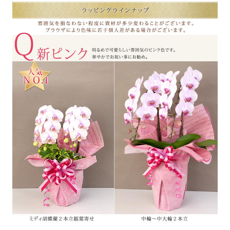 ラッピングのみ胡蝶蘭は付きません 有料ラッピング 2本立胡蝶蘭専用 物日商品除く 単品購入不可 プレミアムラッピング R 2fivrp R 2frp 胡蝶蘭専門農園 Iファーマーらんぼ 通販 Yahoo ショッピング