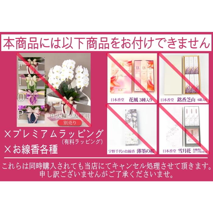 【北海道宛専用】 胡蝶蘭 中輪〜中大輪「氷晶」３本立ち ヤマトまたは自社配送でお届け お祝い お供え 就任 退職 開店 誕生日 花 ギフト プレゼント [r-hyo3fh]の画像