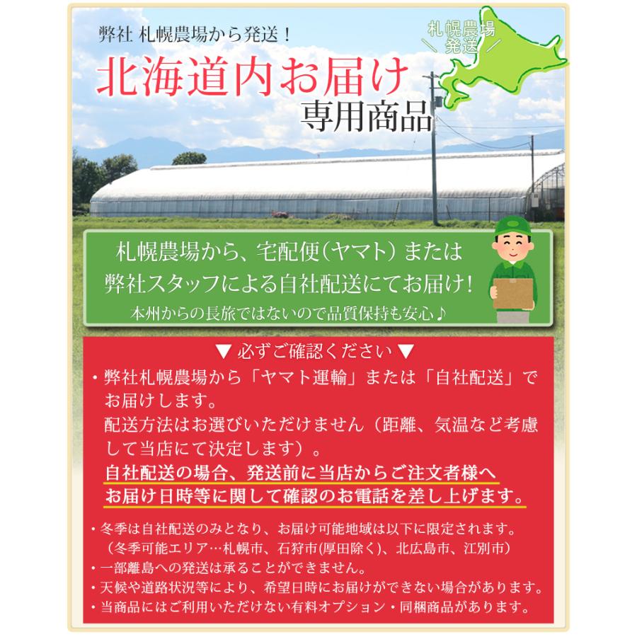 【北海道宛専用】 胡蝶蘭 中輪〜中大輪「氷晶」３本立ち ヤマトまたは自社配送でお届け お祝い お供え 就任 退職 開店 誕生日 花 ギフト プレゼント [r-hyo3fh]の画像
