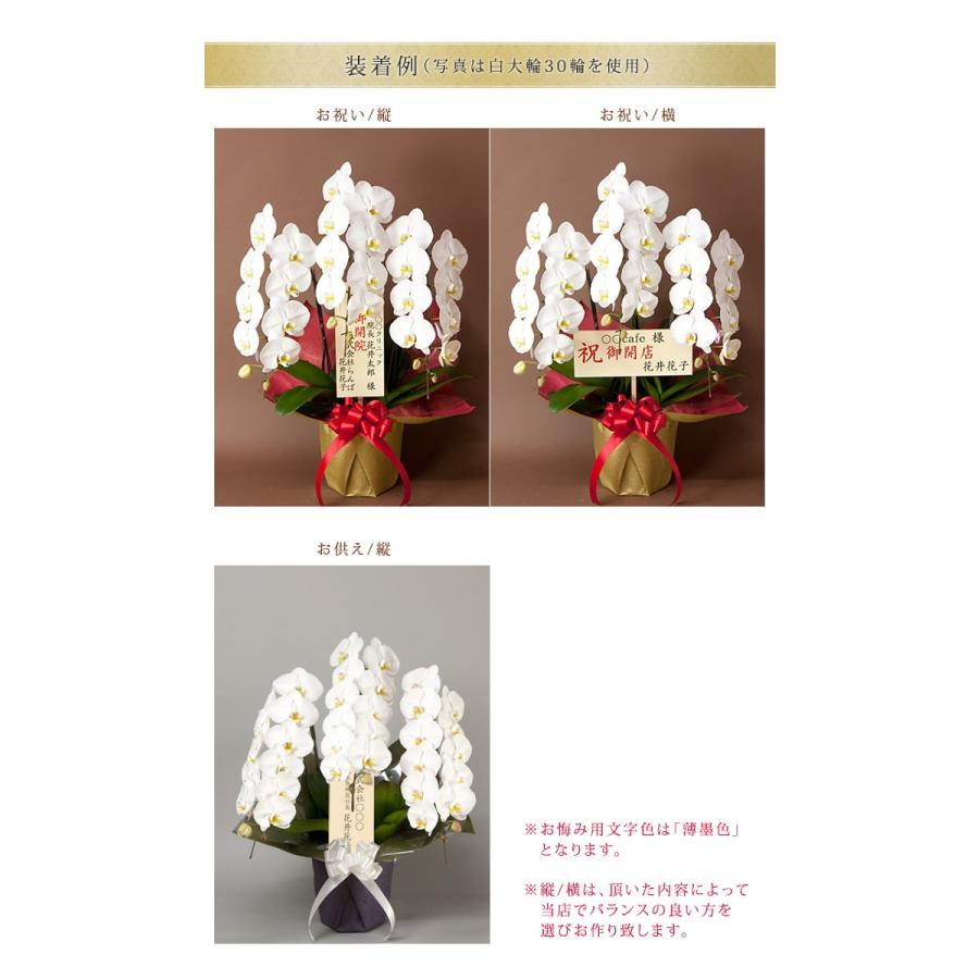 ≪単品購入不可/対象胡蝶蘭のみ同梱可≫ ヒノキ木札 3号 立札[r